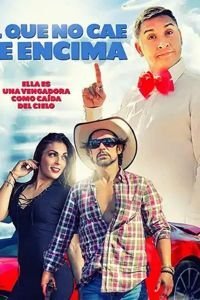   Свалившийся с неба (2018)